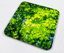 Timeless Florals Coaster Collection