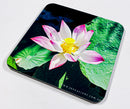 Timeless Florals Coaster Collection