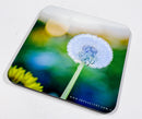 Timeless Florals Coaster Collection
