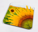 Timeless Florals Coaster Collection
