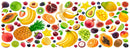 Fruit & Berries (Panorama) Jigsaw Puzzle by Artist QPuzzles and Manufactured by QPuzzles in Queensland