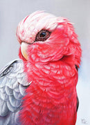 Galah (Portrait) QPuzzles