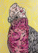 Galah (Tray Puzzle) QPuzzles