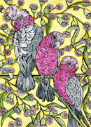 Galahs n Gums (Tray Puzzle) QPuzzles