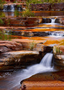 Gold Rapids (Portrait) Jigsaw Puzzle by Artist Bruce Pottinger and Manufactured by QPuzzles in Queensland