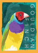 Gouldian Finch (Portrait) Jigsaw Puzzle by Artist Robert Mancini and Manufactured by QPuzzles in Queensland