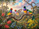 Gouldian Finches (Landscape)