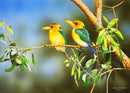 Green and Gold - Yellow-Billed Kingfishers (Landscape) Jigsaw Puzzle by Artist Frances McMahon and Manufactured by QPuzzles in Queensland