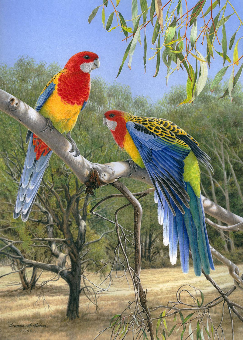 Heatwave - Eastern Rosellas (Portrait) Jigsaw Puzzle by Artist Frances McMahon and Manufactured by QPuzzles in Queensland