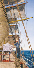 Hidden Treasures (Panorama) QPuzzles