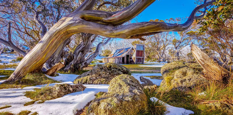 High Country Hut (Panorama)