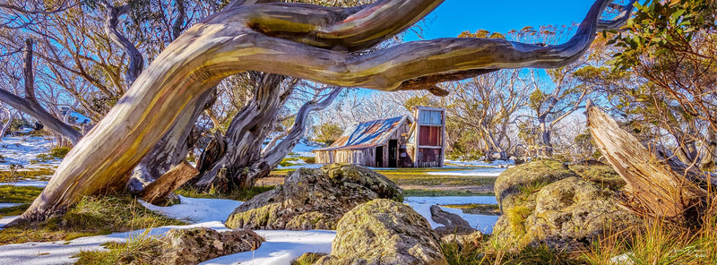 High Country Hut (Panorama)