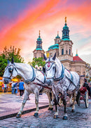 Horses of Prague (Portrait) Jigsaw Puzzle by Artist James Dormer and Manufactured by QPuzzles in Queensland