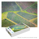 Hunter Valley Vineyards (Landscape)