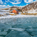 Ice Lillys (Square) QPuzzles