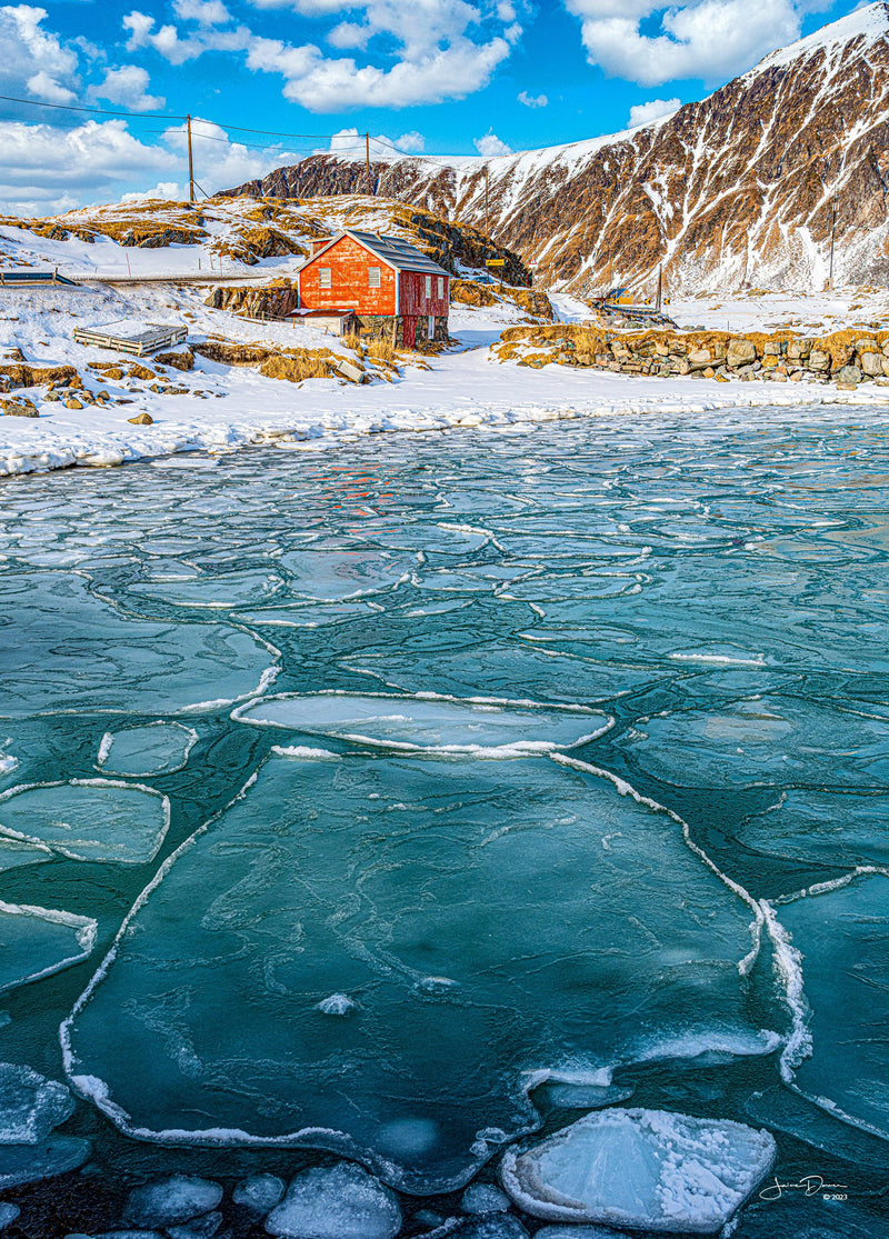 Ice Lillys (Landscape)