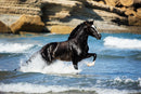 Into the Waves