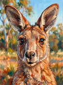 Kangaroo Portrait (Portrait)