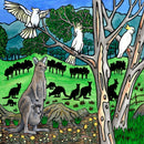 Kangaroos (Square) QPuzzles