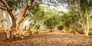 Kanyaka Creek Bed (Pano) Jigsaw Puzzle by Artist Jaime Dormer and Manufactured by QPuzzles in Queensland