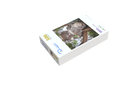 Wildlife - Koala (Square)