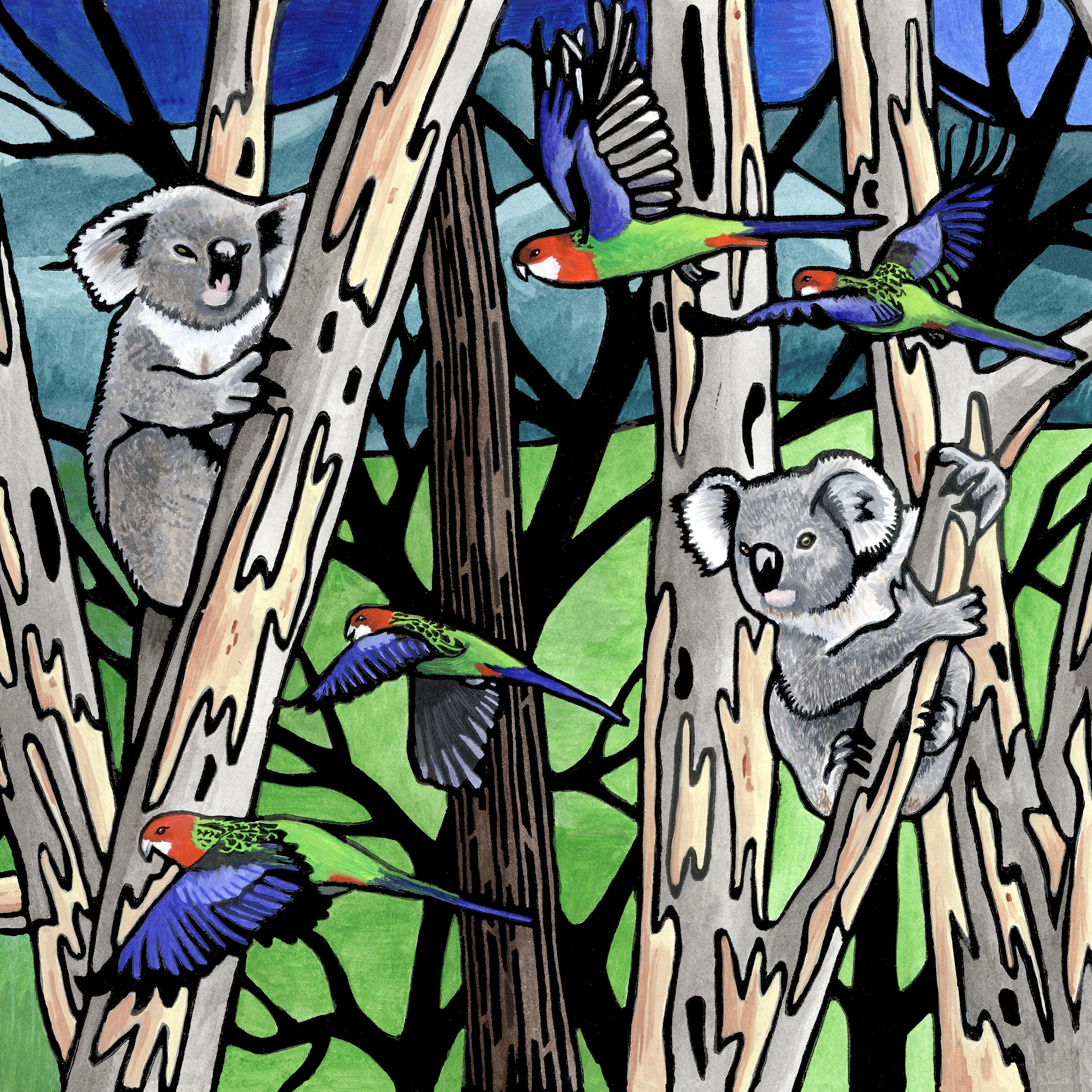 Koalas (Square) - Puzzles Qld Pty Ltd