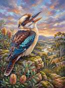 Laughing Kookaburra (Portrait)