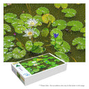 Lily Pond (Landscape)