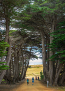 Maria Island, Tasmania (Portrait)