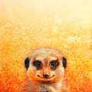 Meerkat's Smile (Square) Jigsaw Puzzle by Artist Elena Kolotusha and Manufactured by QPuzzles in Queensland