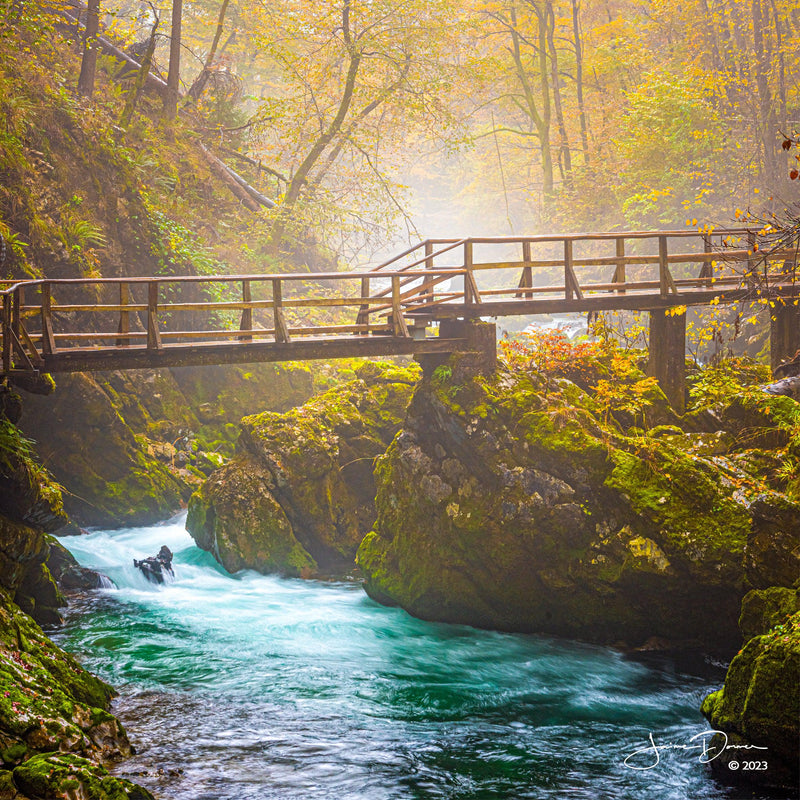 Misty Vintar Gorge Bridge (Square)