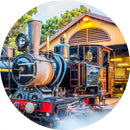 Mount Lyell No3 (Round) Jigsaw Puzzle by Artist Jaime Dormer and Manufactured by QPuzzles in Queensland