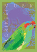 Musk Lorikeet (Portrait) Jigsaw Puzzle by Artist Robert Mancini and Manufactured by QPuzzles in Queensland