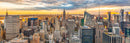 New York New York (Pano) Jigsaw Puzzle by Artist Jaime Dormer and Manufactured by QPuzzles in Queensland