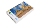 Opera House Monk (Landscape)