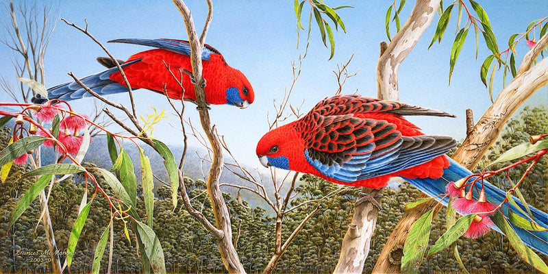Our Beautiful Home - Crimson Rosellas (Panorama) Jigsaw Puzzle by Artist Frances McMahon and Manufactured by QPuzzles in Queensland