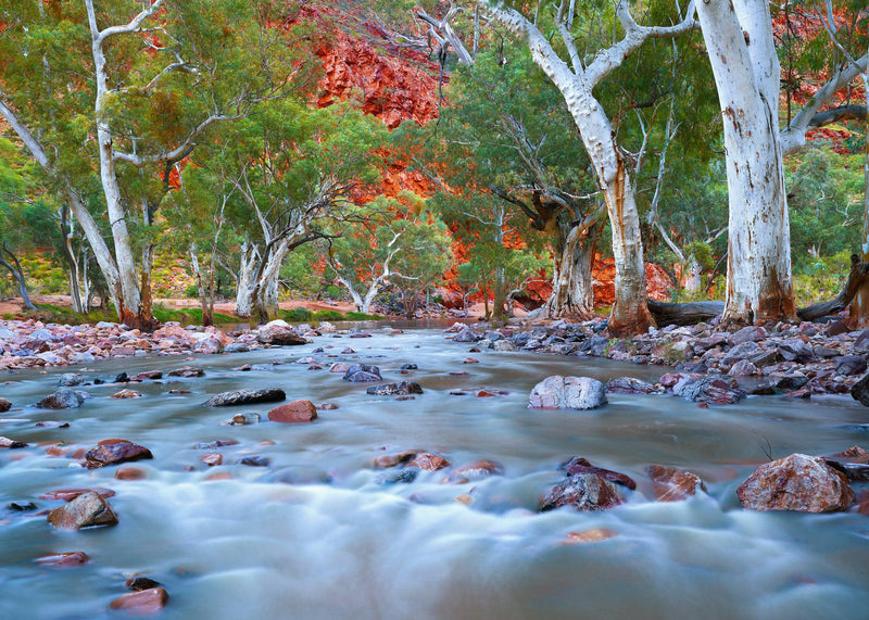 Outback Revival  (Landscape)