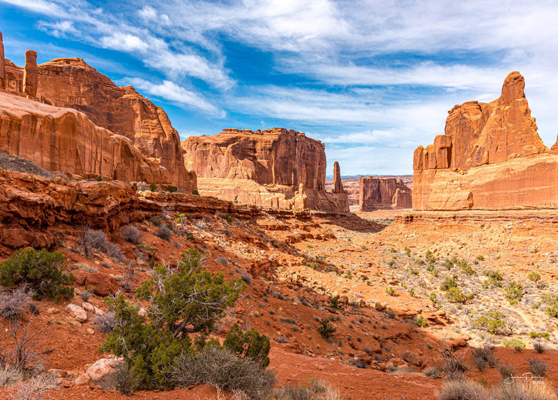 Park Avenue Arches NP (Landscape)