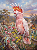 Pink Cockatoo (Portrait)