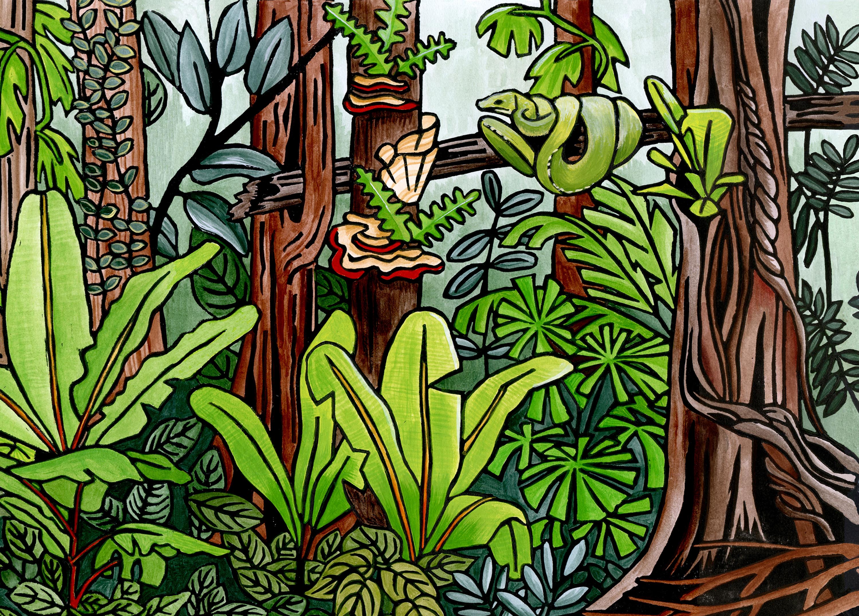 Python Jigsaw Puzzle (Landscape) - Puzzles Qld Pty Ltd