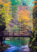Radovna Valley Bridge (Portrait)