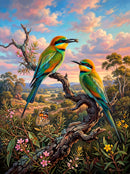 Rainbow Bee Eaters (Portrait)