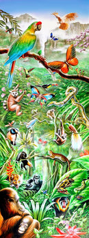Rainforest (Panorama) QPuzzles