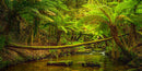 Rainforest River (Pano) Jigsaw Puzzle by Artist Jaime Dormer and Manufactured by QPuzzles in Queensland