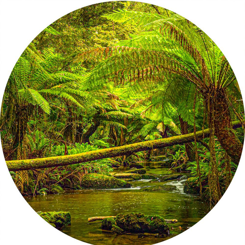 Rainforest River (Round) Jigsaw Puzzle by Artist Jaime Dormer and Manufactured by QPuzzles in Queensland