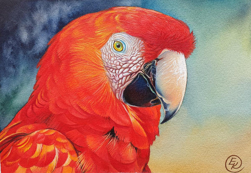 Red Macaw (Landscape) QPuzzles