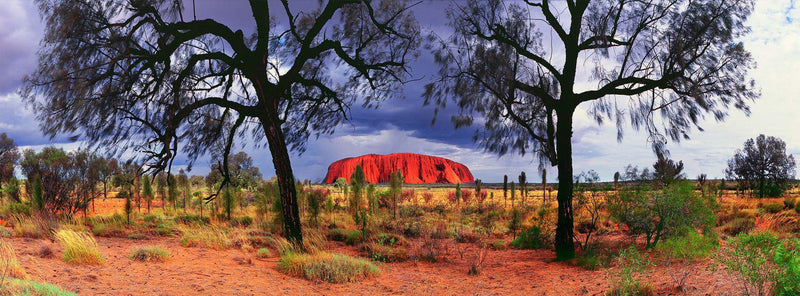 Red Heart (Panorama)