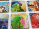 Design Your Own Personalised Ceramic Coasters (Includes Artwork)