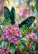 Richmond Birdwing Butterflies (Portrait)