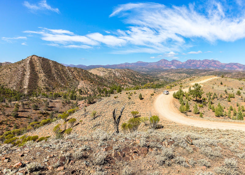 Road To Flinders (Landscape)